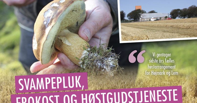 Svampepluk, Frokost og Høstgudstjeneste